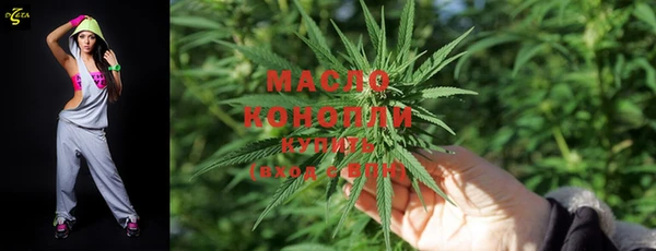 крисы Надым