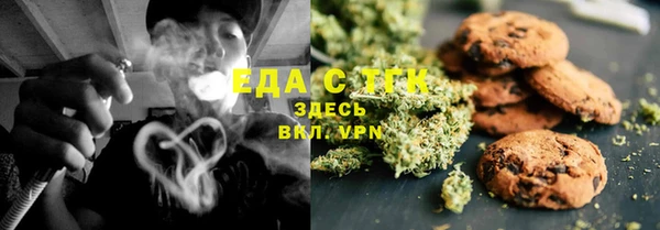 крисы Надым