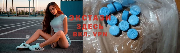 крисы Надым