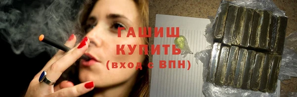 крисы Надым