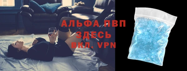 крисы Надым