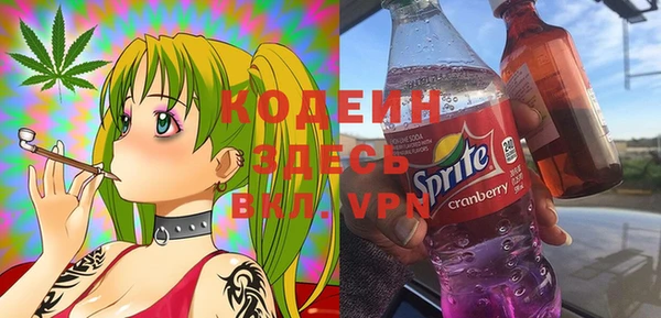 крисы Надым
