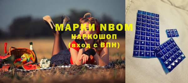 крисы Надым