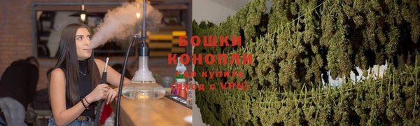 крисы Надым